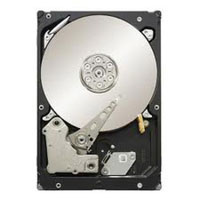 Seagate 2TB SATA 3.5  (ST32000646NS)